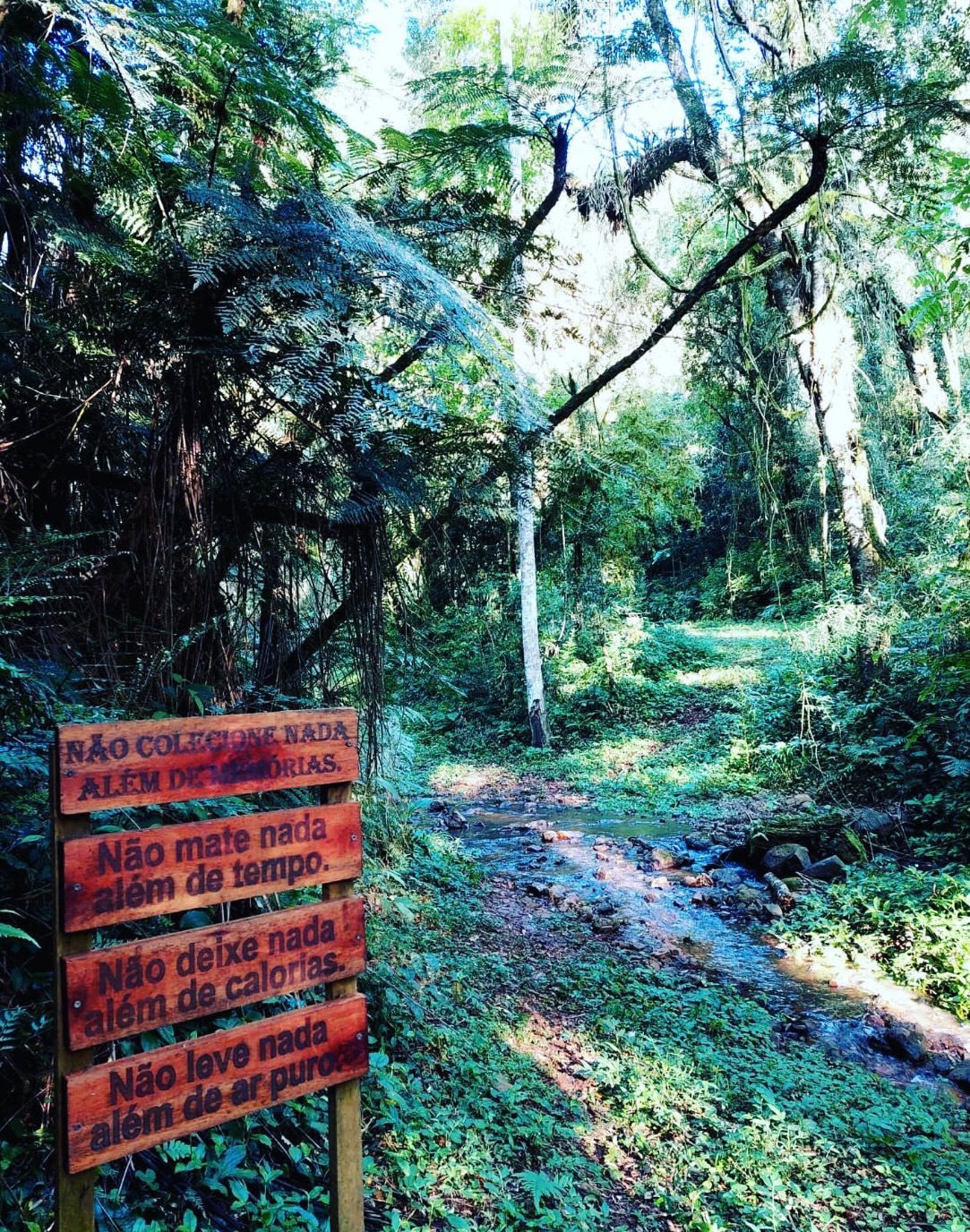 MIRANTE BELVEDERE e TRILHAS
