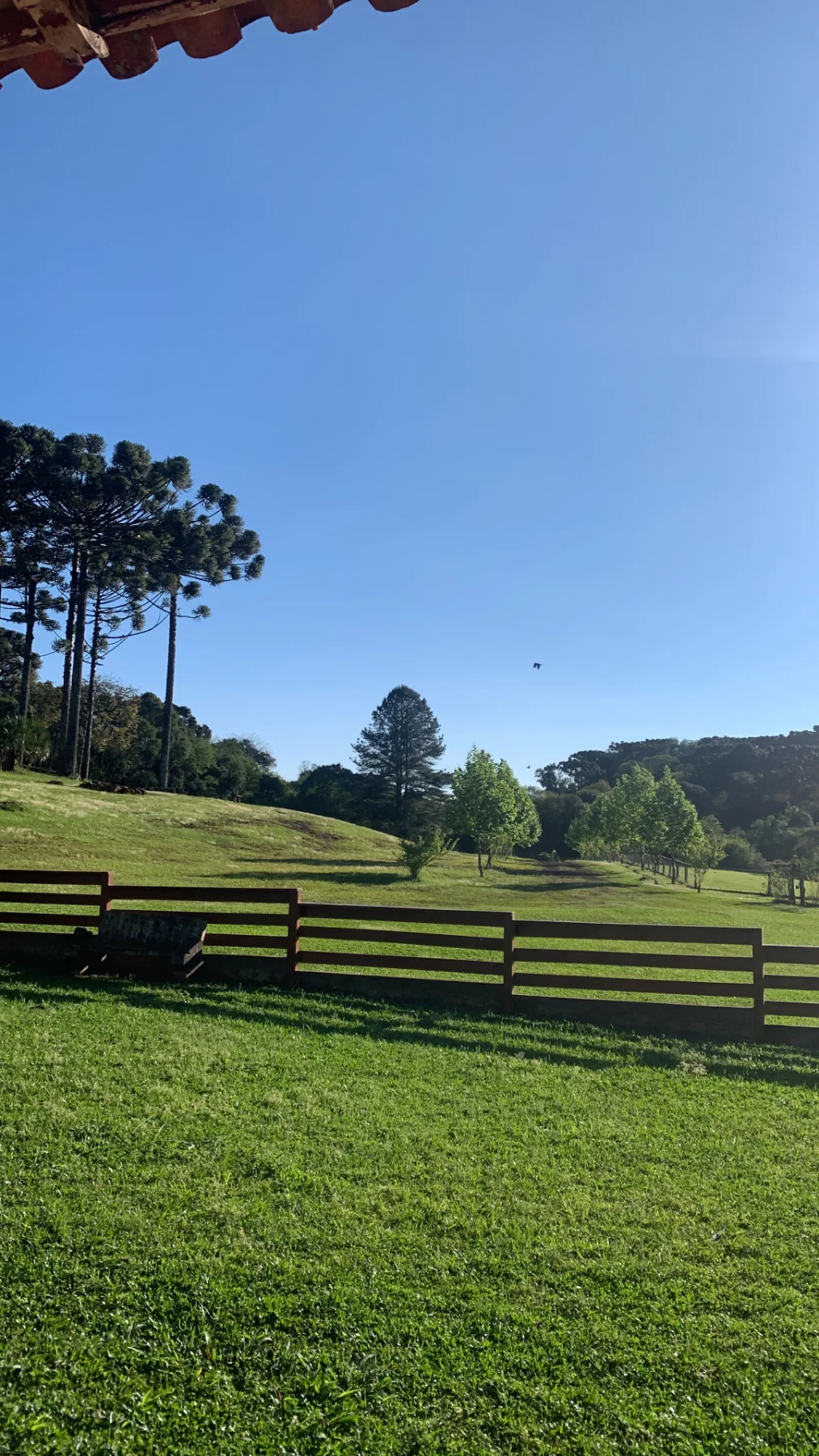 Fazenda Castelo