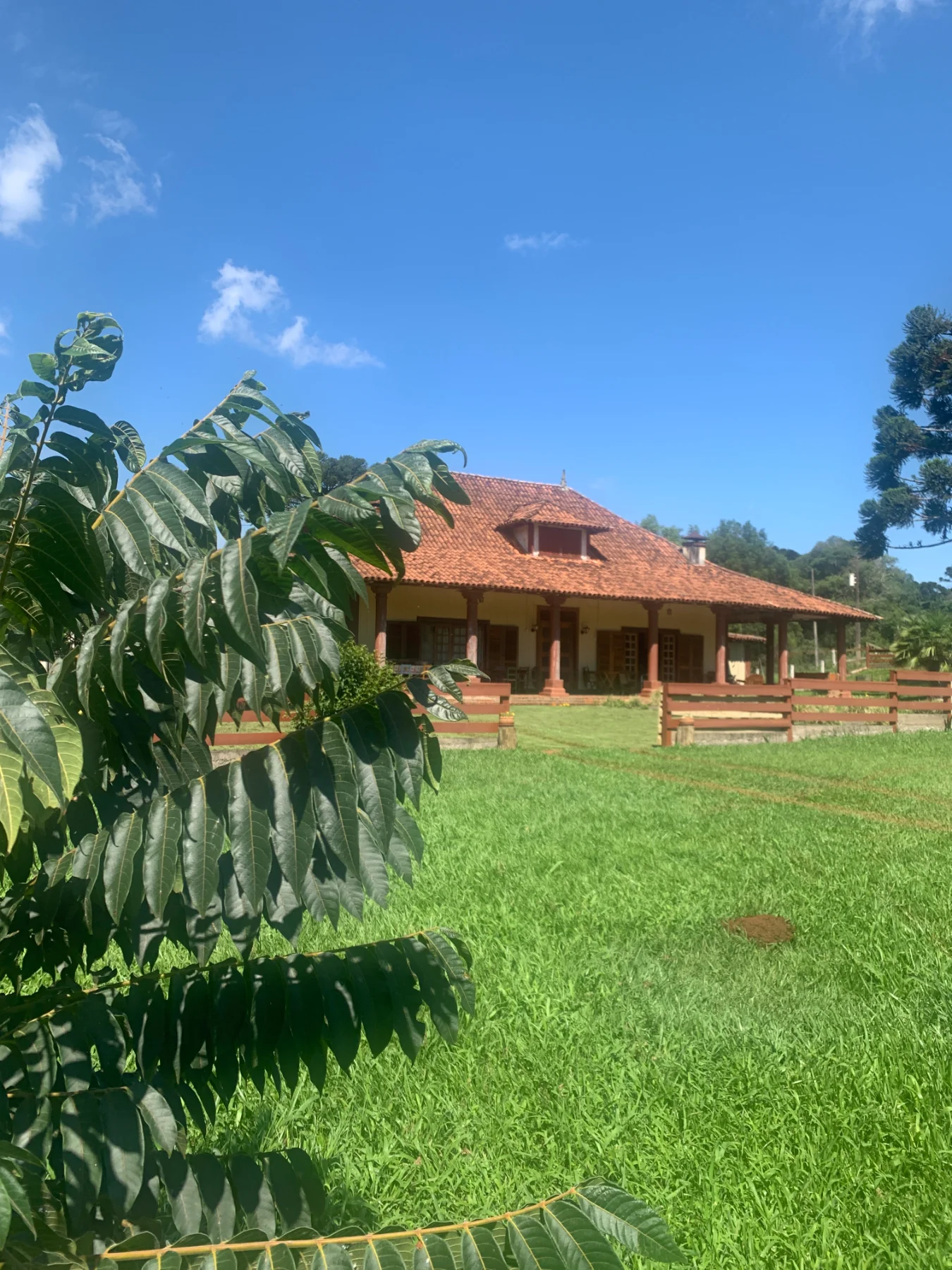 Fazenda Castelo