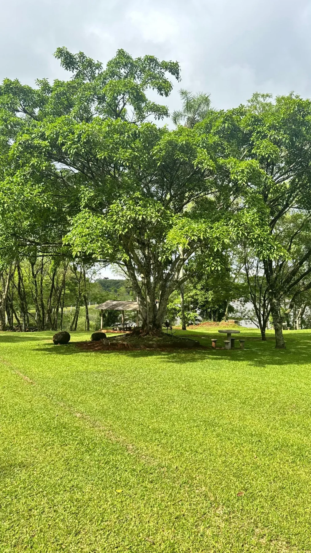 Camping Guatambu