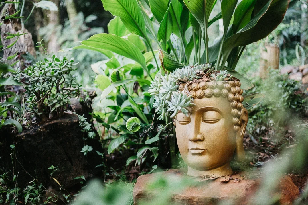 Pousada Flora Bamboo Eventos e Camping