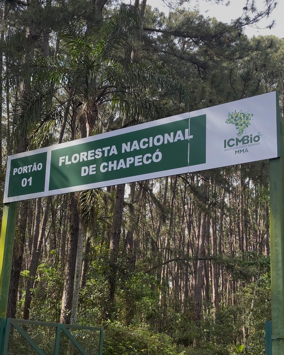 Floresta Nacional de Chapecó 