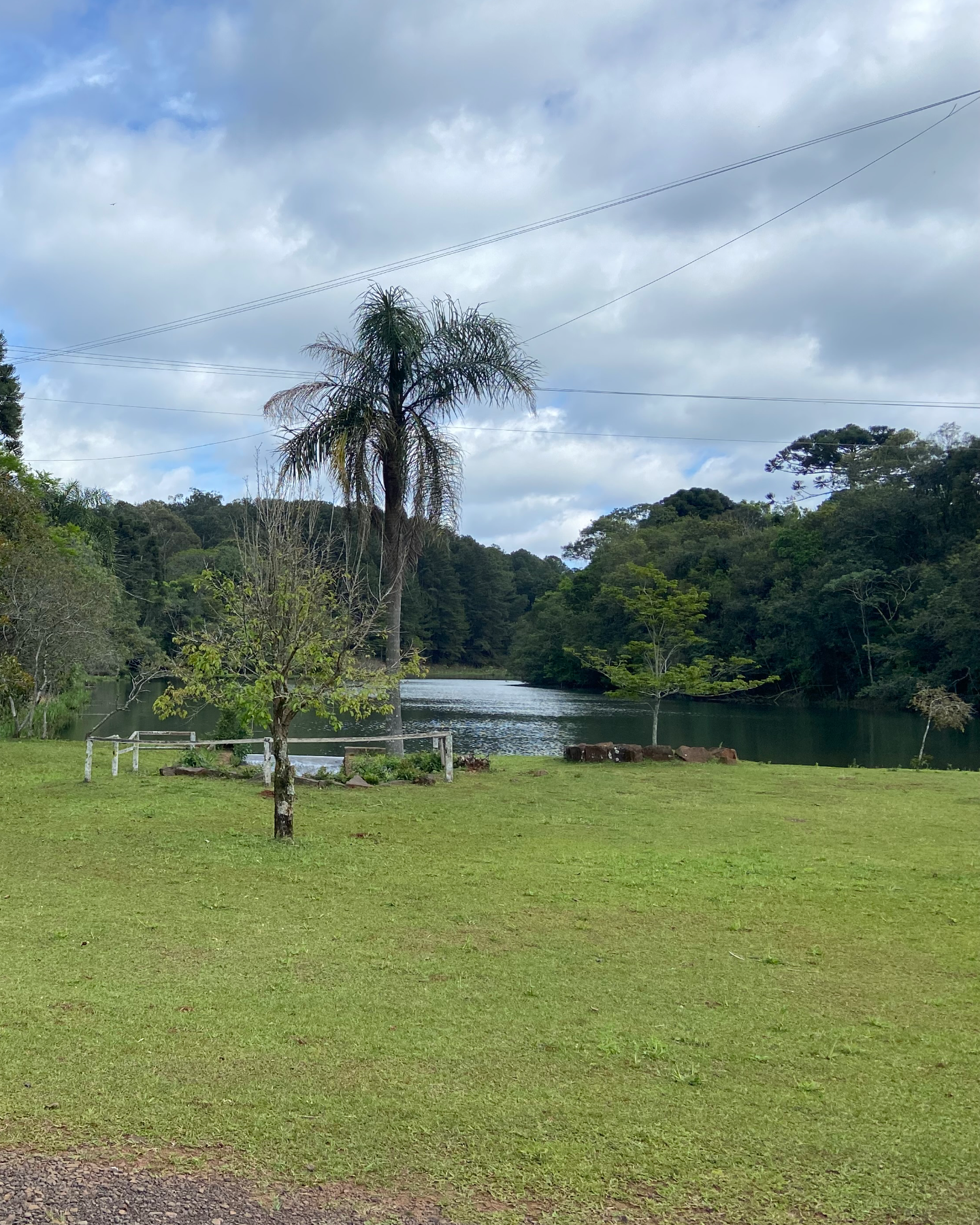 Floresta Nacional de Chapecó 