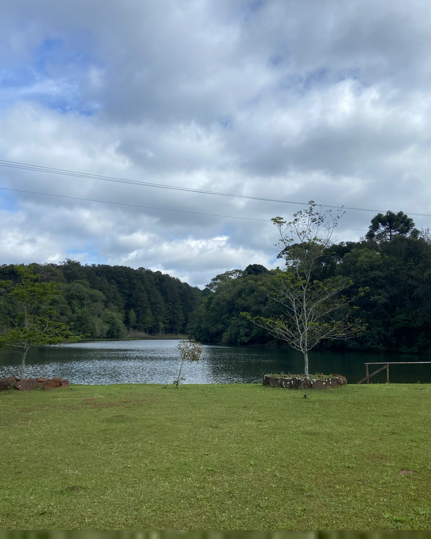Floresta Nacional de Chapecó 