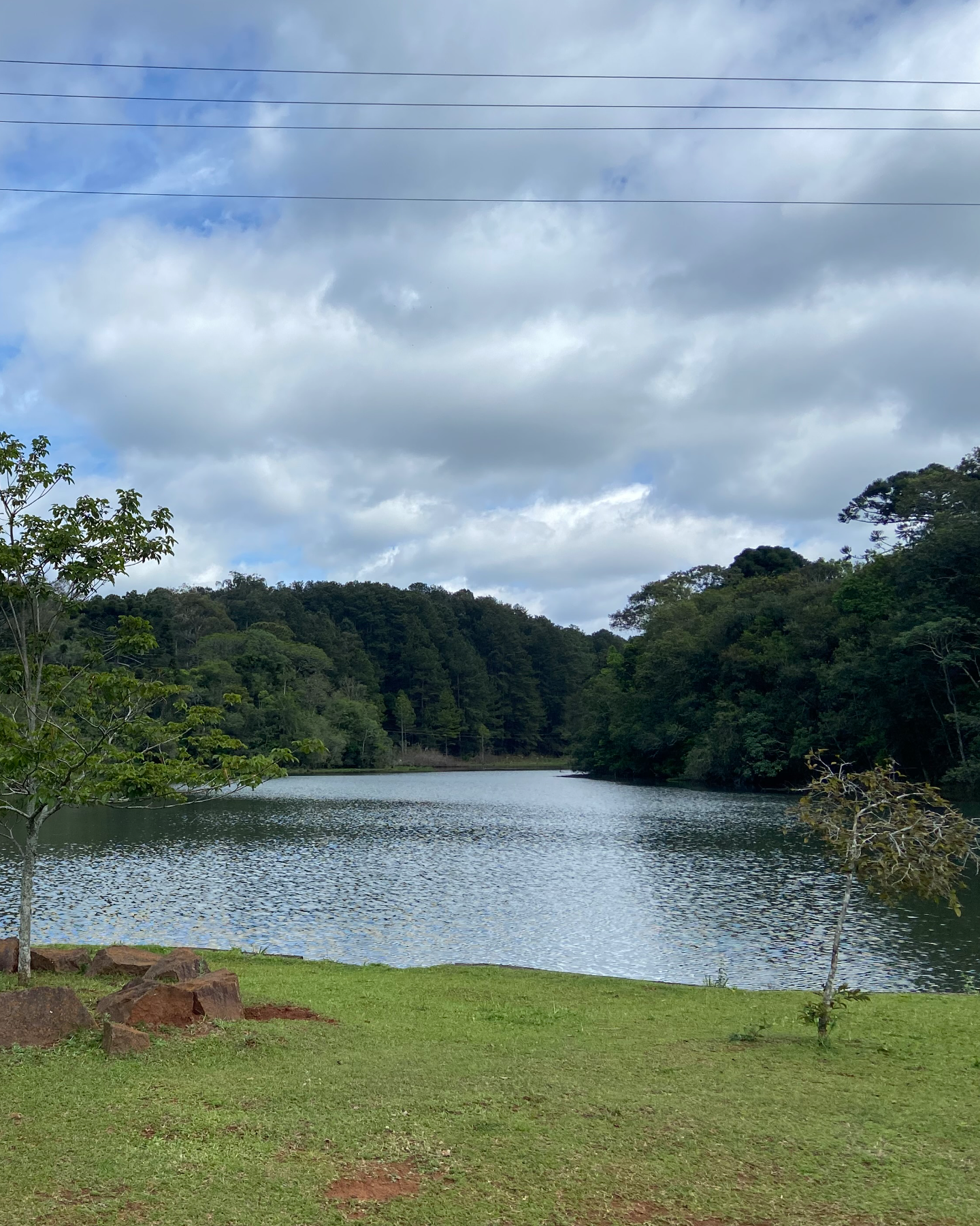 Floresta Nacional de Chapecó 