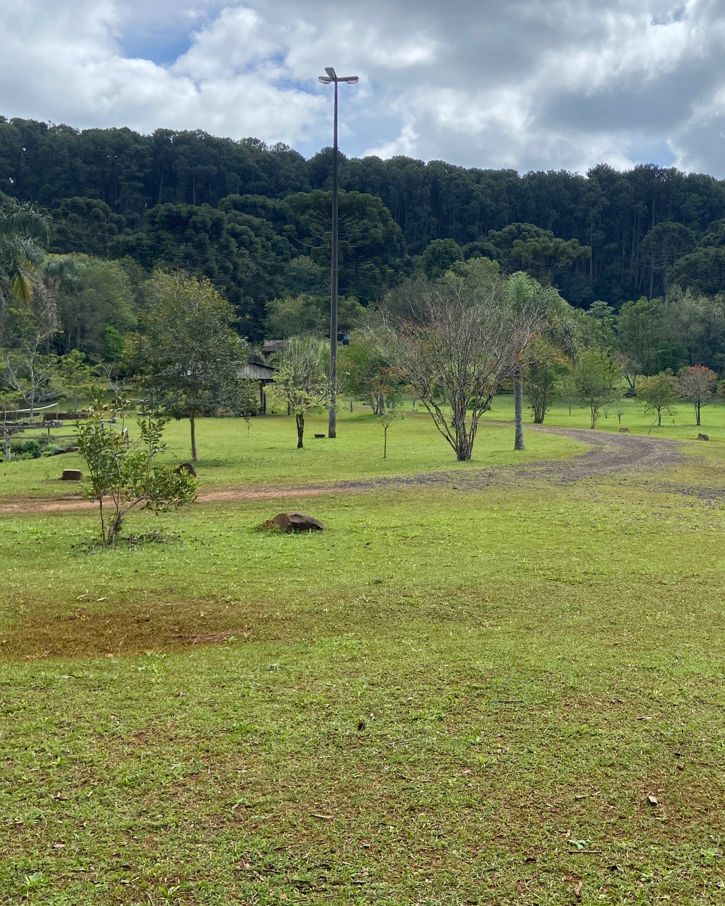 Floresta Nacional de Chapecó 