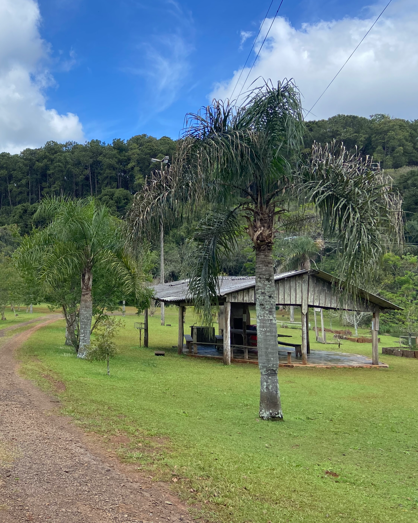 Floresta Nacional de Chapecó 