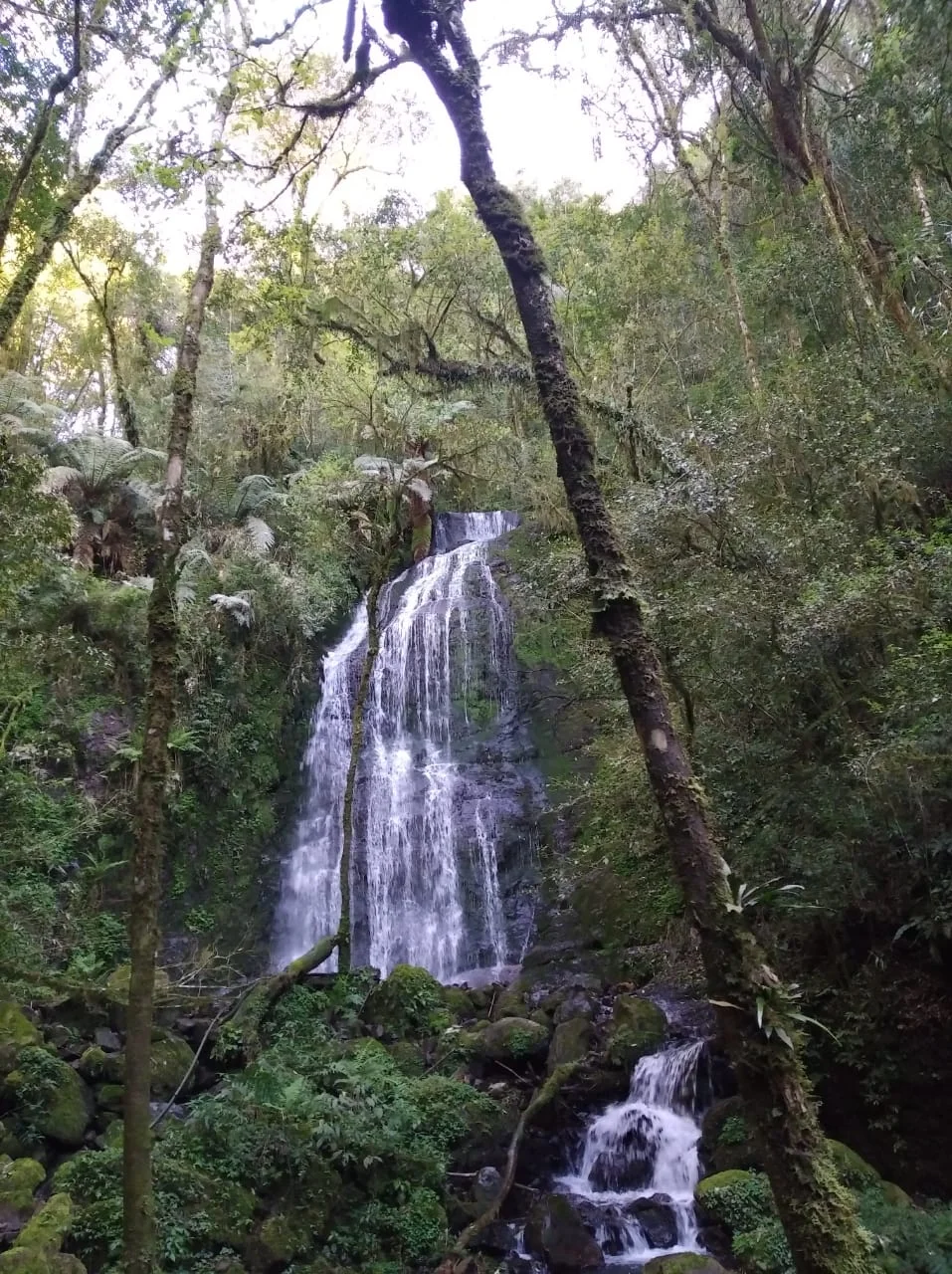 Sítio Cachoeira Produtos Gosto Familiar