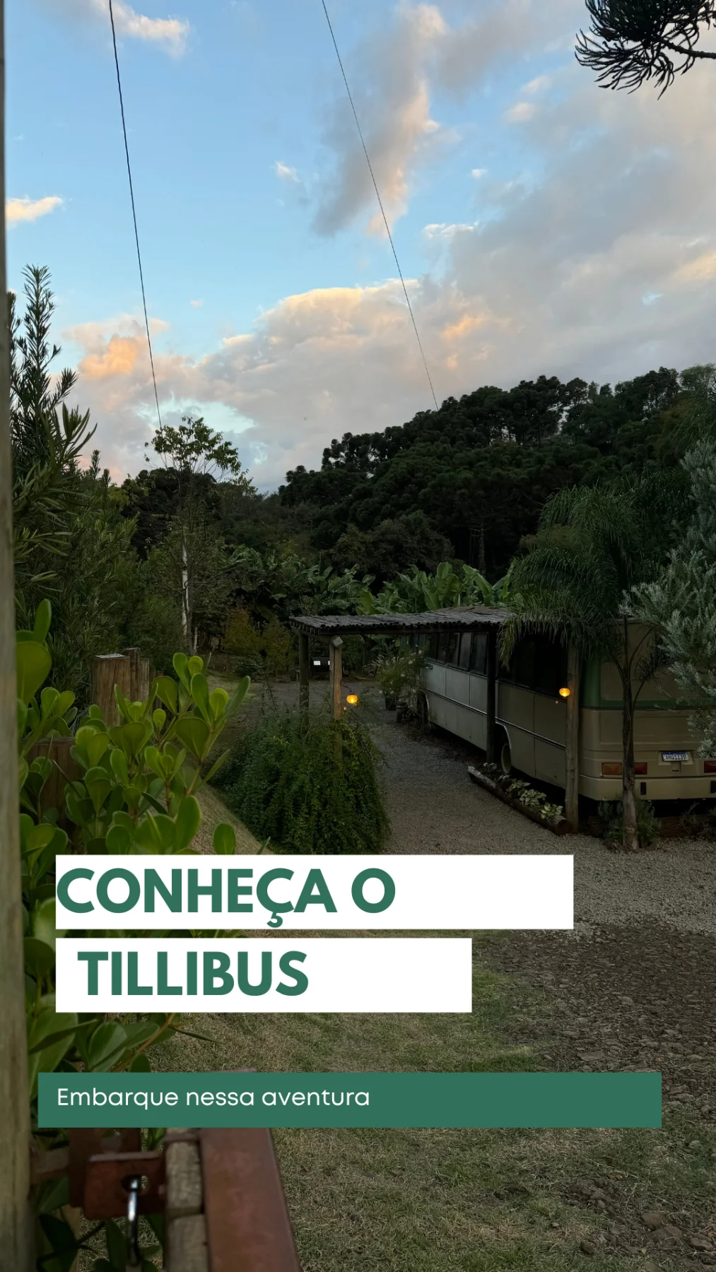 TilliBus Hospedagem Afetiva