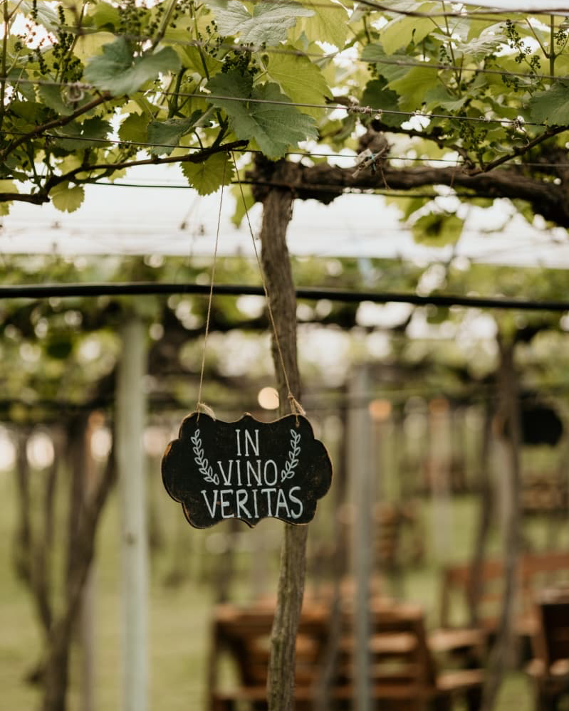 Vinícola Família Viel 
